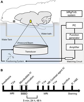 Frontiers Localized Modification of Water Molecule Transport